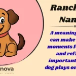 Ranch Dog Names
