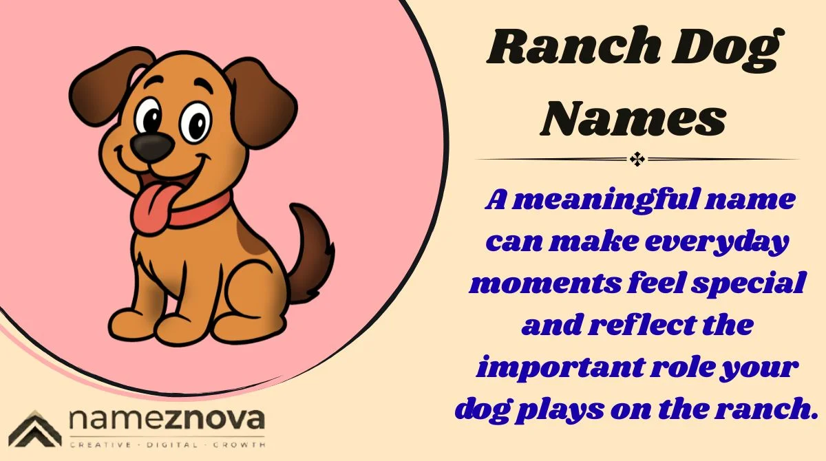 Ranch Dog Names