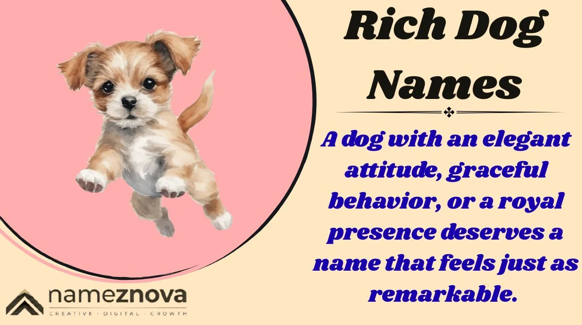 Rich Dog Names