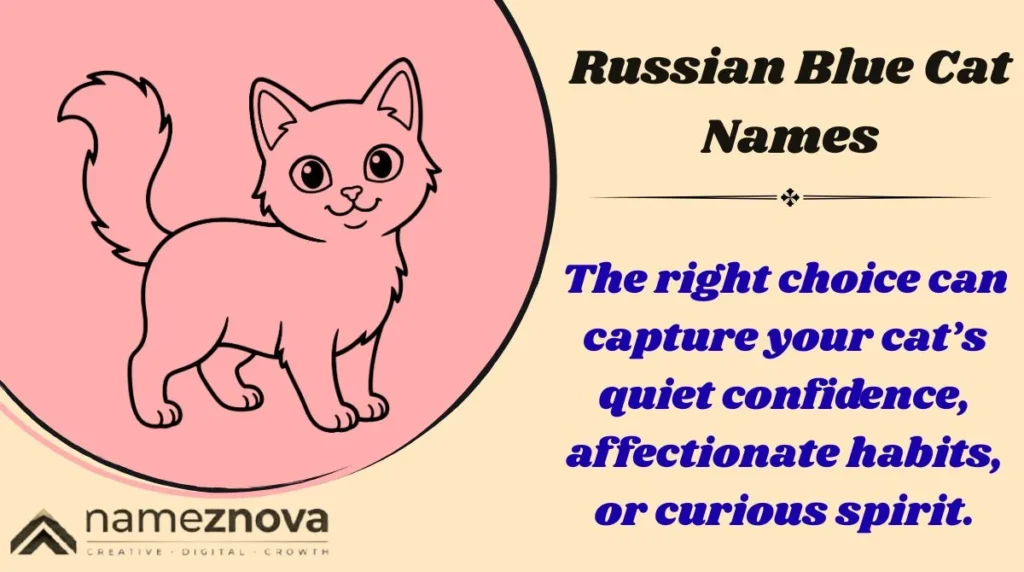 Russian Blue Cat Names