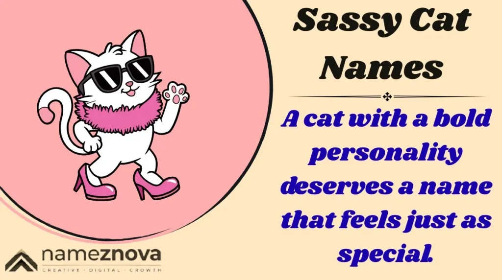Sassy Cat Names