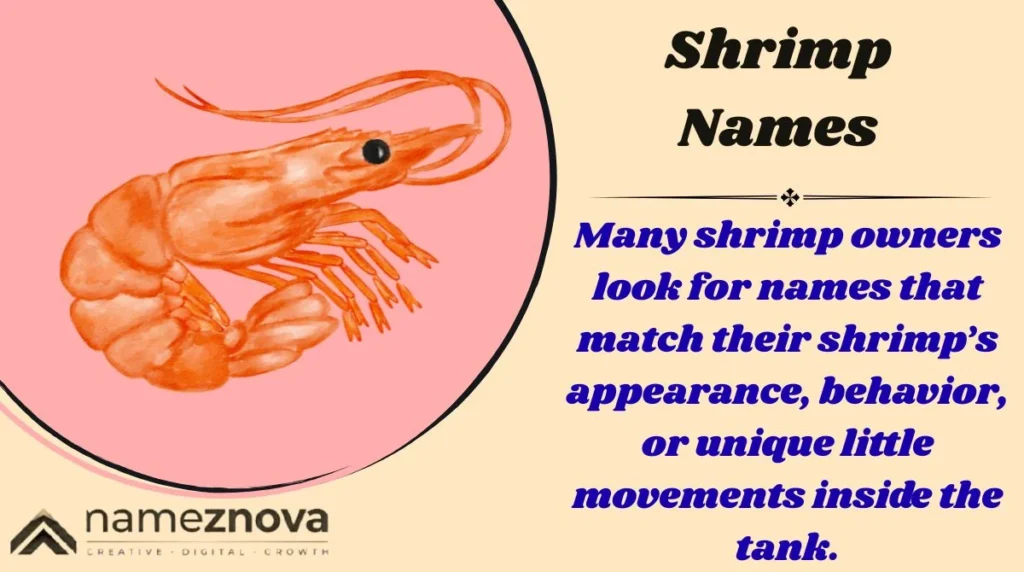 Shrimp Names