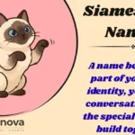 Siamese Cat Names
