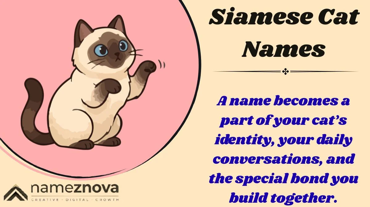 Siamese Cat Names
