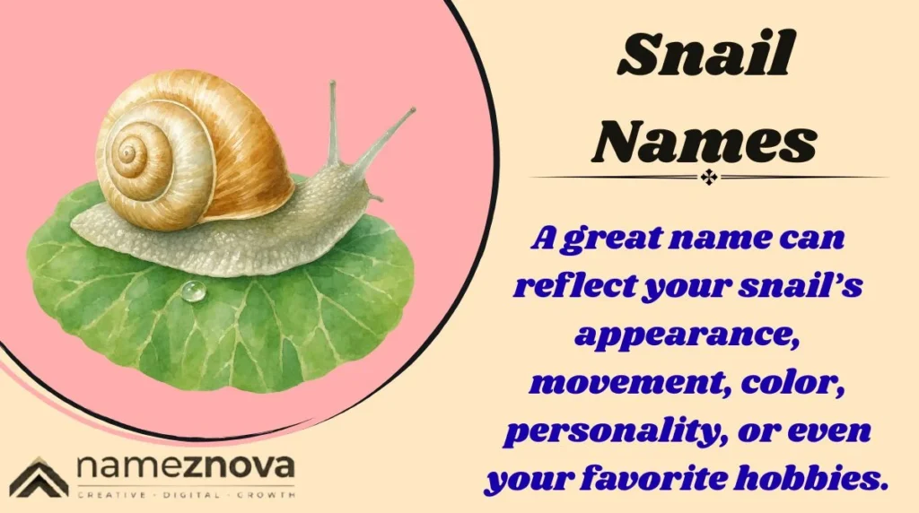 Snail Names
