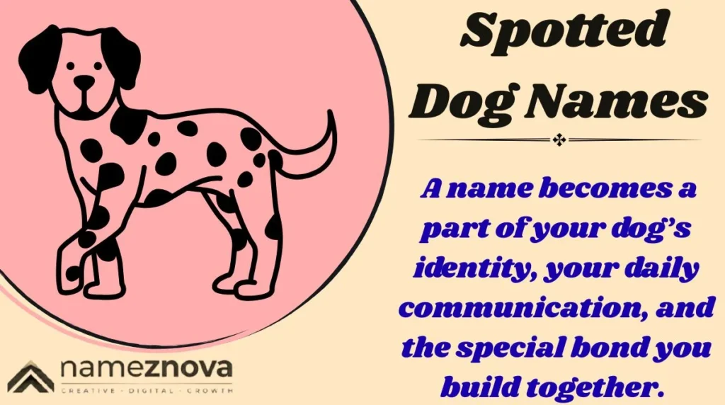 Spotted Dog Names
