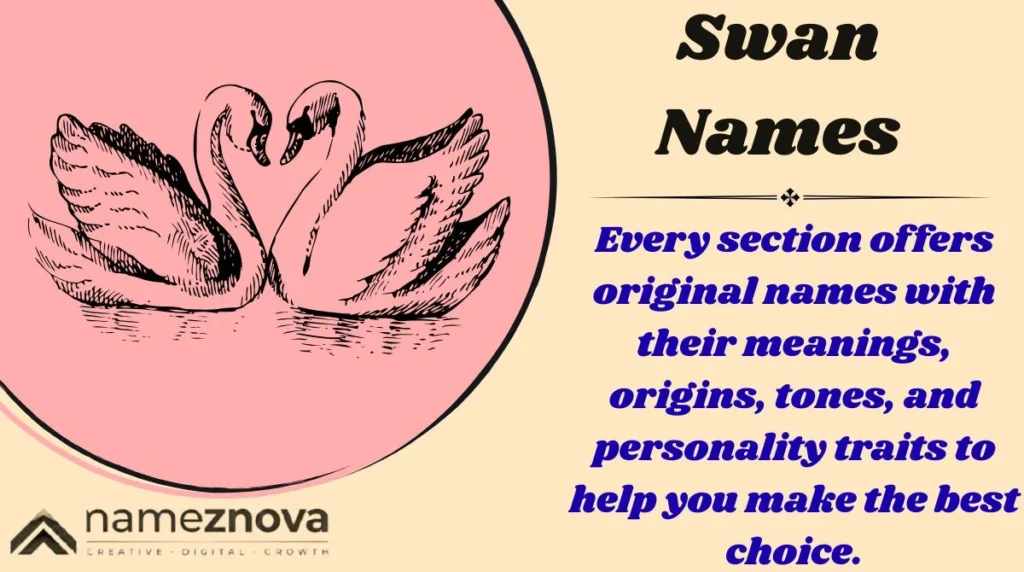 Swan Names
