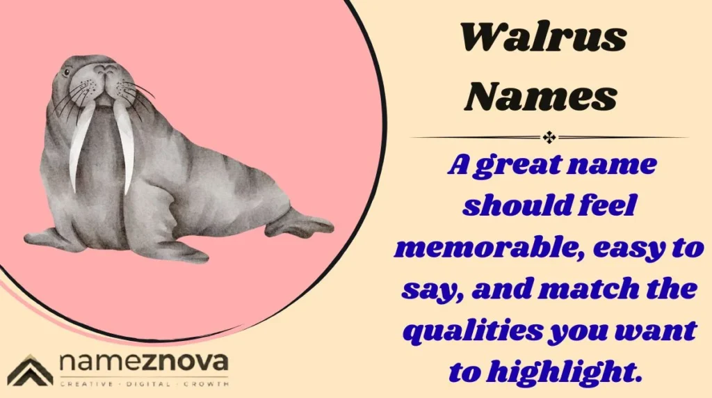 Walrus Names