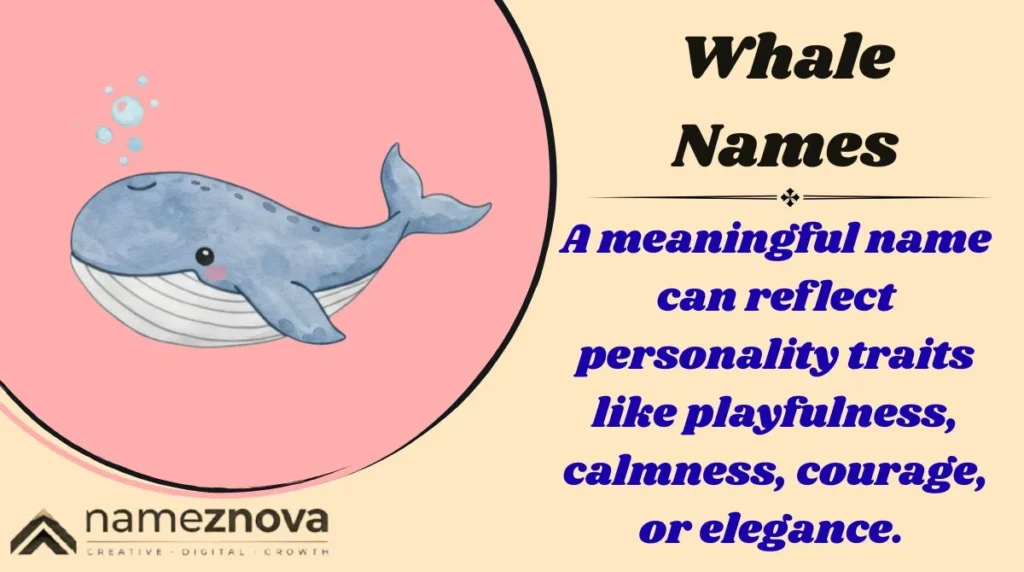 Whale Names