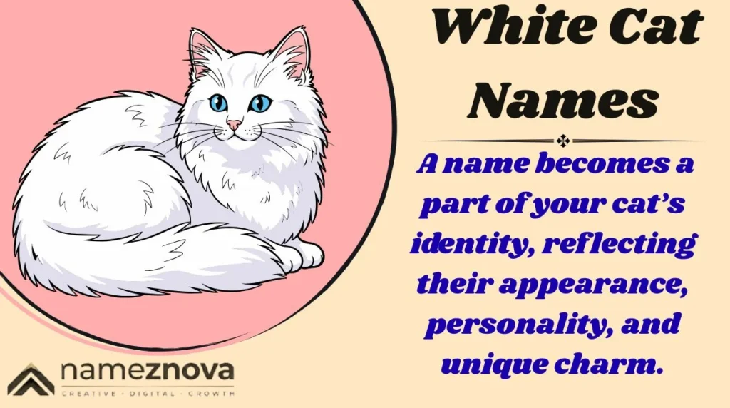 White Cat Names