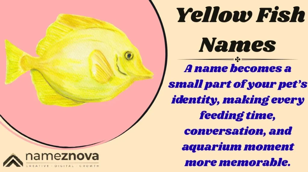 Yellow Fish Names