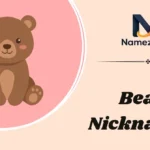 Bear Nicknames