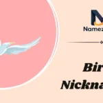 Bird Nicknames