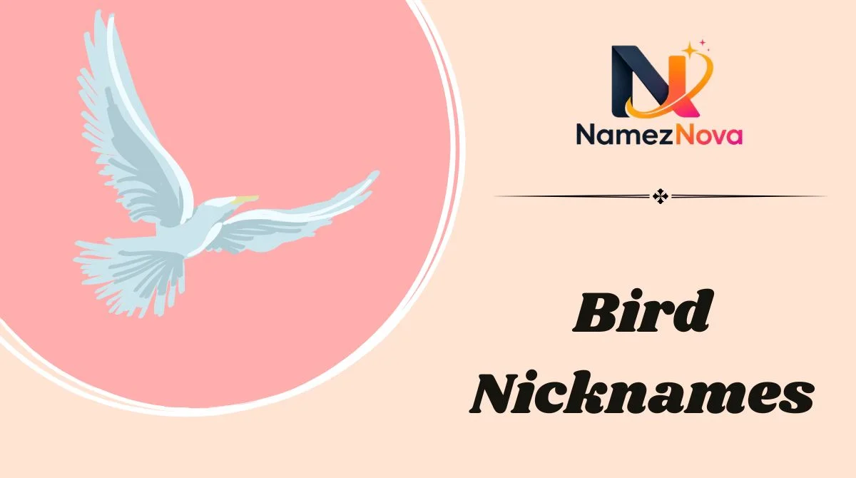 Bird Nicknames