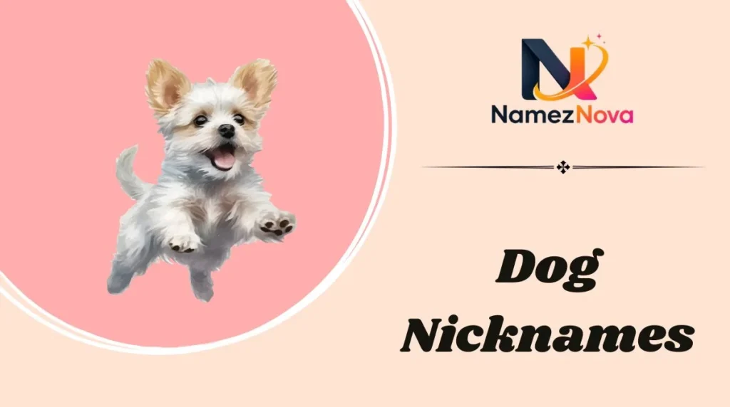 Dog Nicknames
