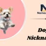 Dog Nicknames