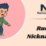 Rude Nicknames