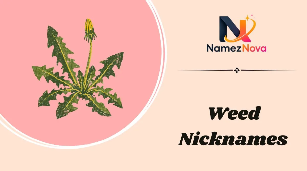 Weed Nicknames